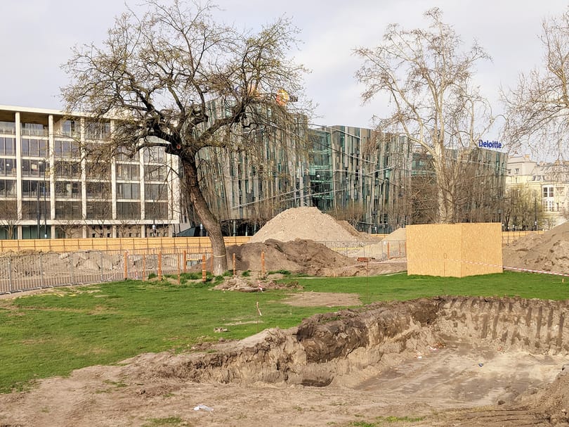 Átültetés közben kidőlt egy 100 éves tölgy a Városligetben
