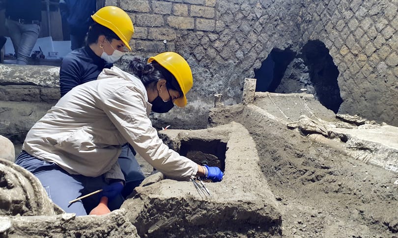 Teknősbéka maradványára bukkantak Pompejiben, egy tojás is volt már benne
