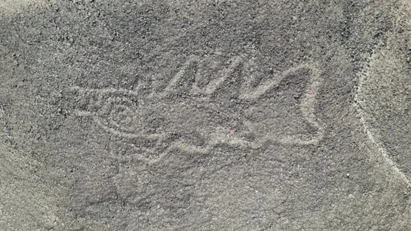 Egy csapásra találtak 303 új, rejtélyes Nazca-vonalat, itt megnézheti őket: földönkívüli lény, késsel hadonászó gyilkos bálna is van köztük