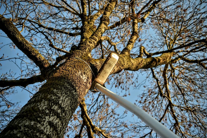 Hódmezővásárhely jegyzője: Az OLAF-jelentést nem kaptuk meg, az Elios szerződése évek óta nyilvános