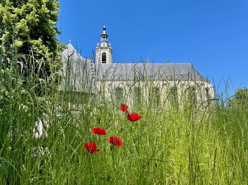 Akkor látogatott a pápa Belgiumba, amikor az egyházi személyek által elkövetett szexuális bántalmazások miatt forrong a társadalom