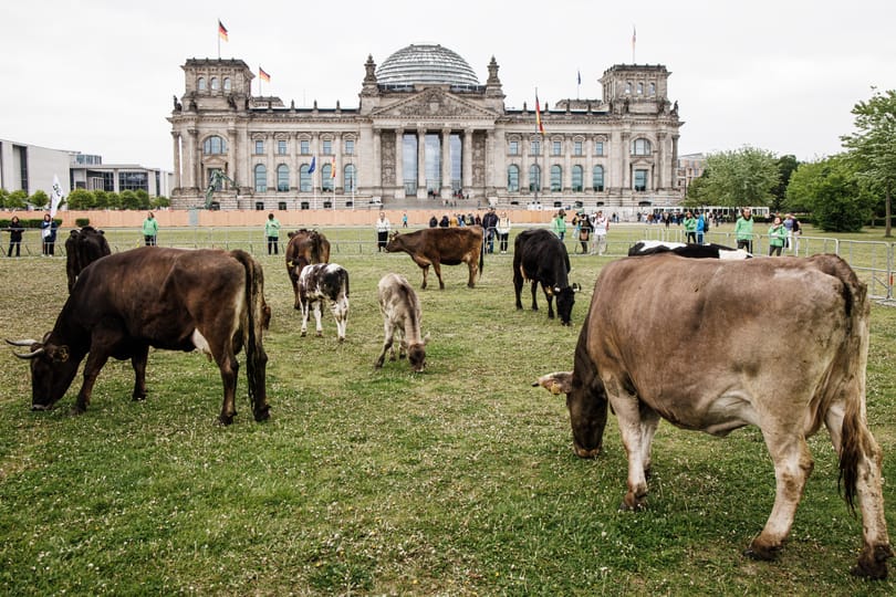 Zöldítené a mezőgazdaságát Európa – ez azonban az agrárlobbinak tetszik a legkevésbé