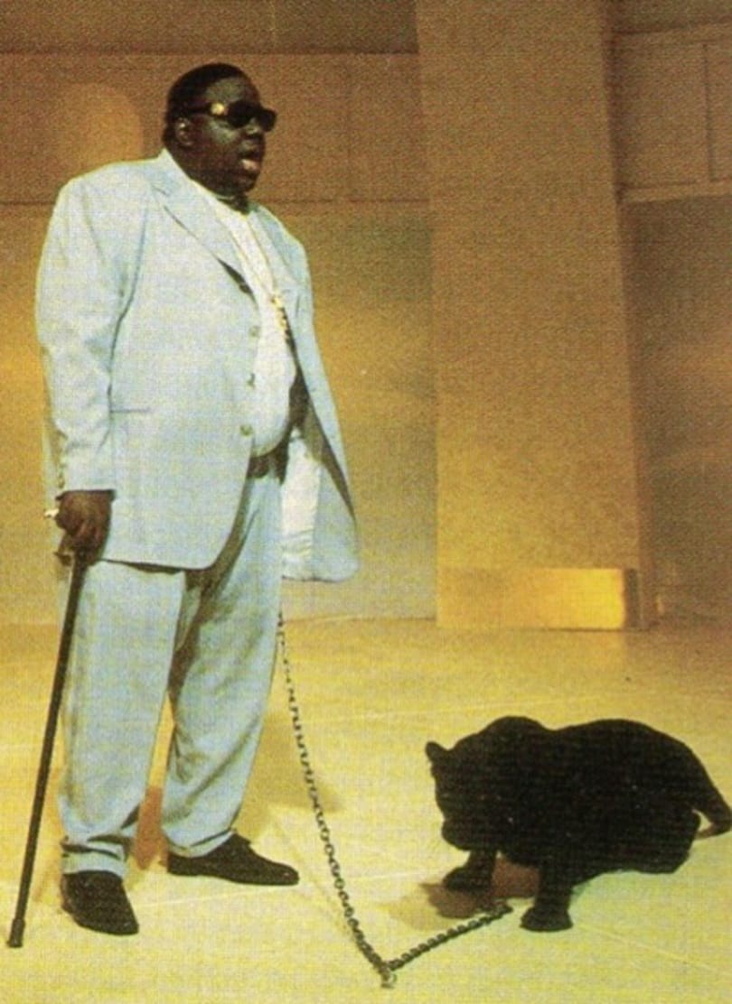 A nap képe: Biggie és az ő fekete párduca
