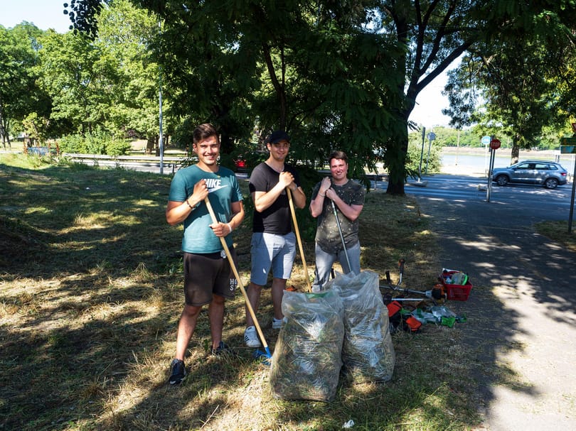 Gaznak nézte a Fidelitas a Vadvirágos Budapest program egy gyepét, és lekaszálta