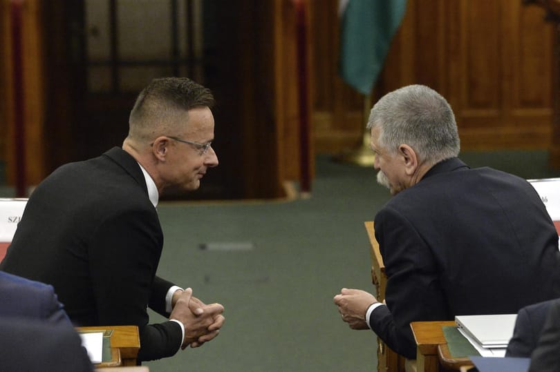 Para-Kovács Imre: Pszichés problémák