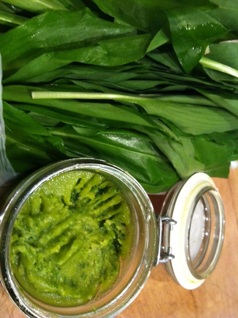 Tuti tavasz medvehagymával - recept