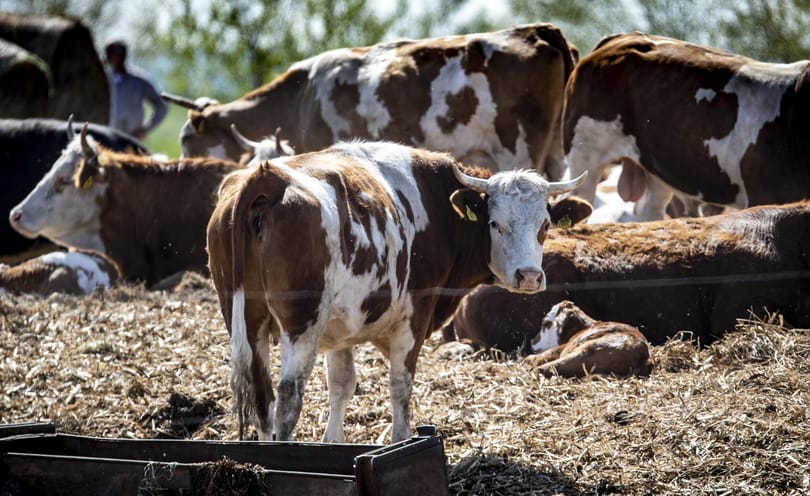100 milliárdos programmal indítja a nyarat az agrártárca