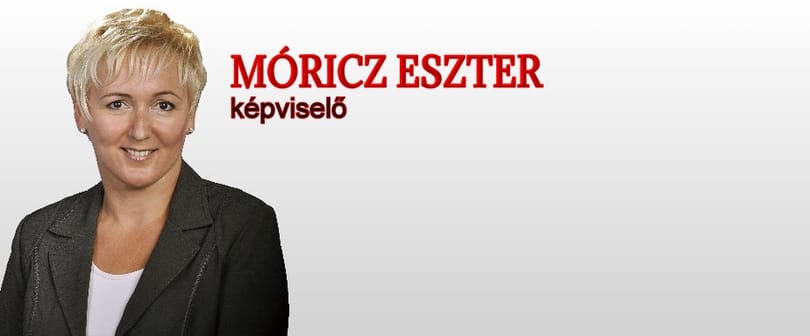 Megbüntette pártja a képviselőt, aki nemmel szavazna október 2-án