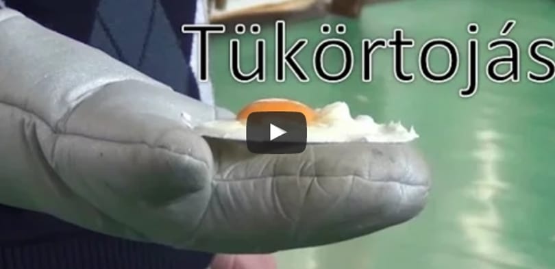 Egy magyar fizikatanár megelégelte, hogy nincs pénz látványos kísérletekre, és kitalált valamit