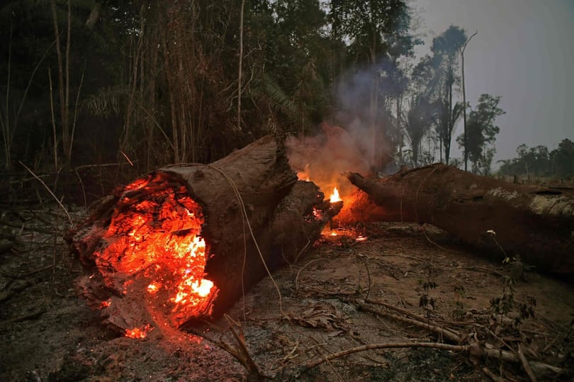 Ha így folytatjuk, hamarosan szavanna lehet az Amazonas-medencéből