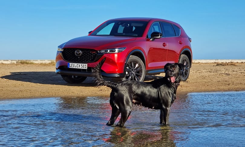 Bőven van élet a villanyautókon túl: 6 hengerrel és új szuper dízelmotorral támad a Mazda