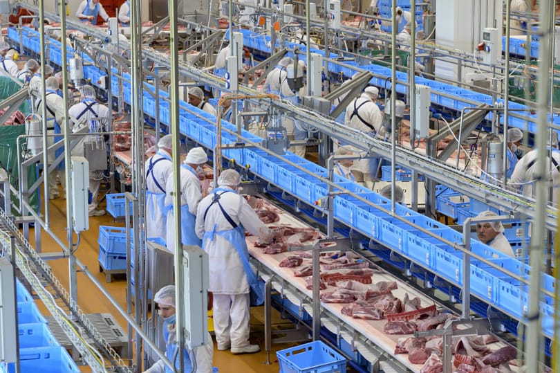 Százötvennél is több húsipari munkás kapta el a koronavírust Romániában