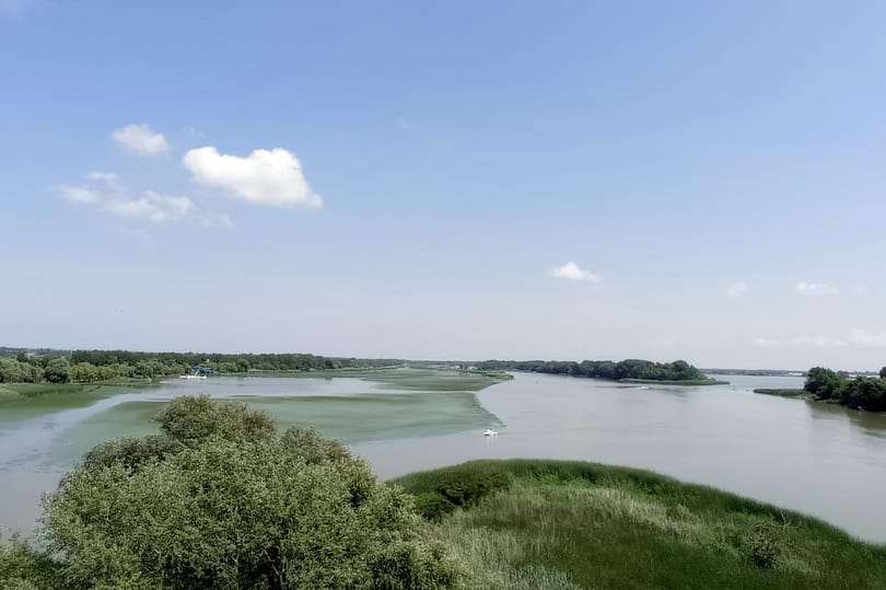 Tiltott ólomsöréttel lőttek ki védett madarakat a Tisza-tó egyik holtágánál.