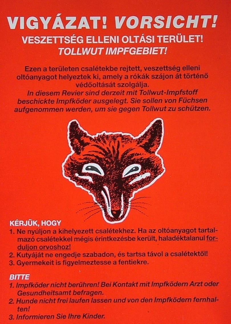 Kamu a rákosmentei veszett rókáról szóló hír, cáfol a Nébih