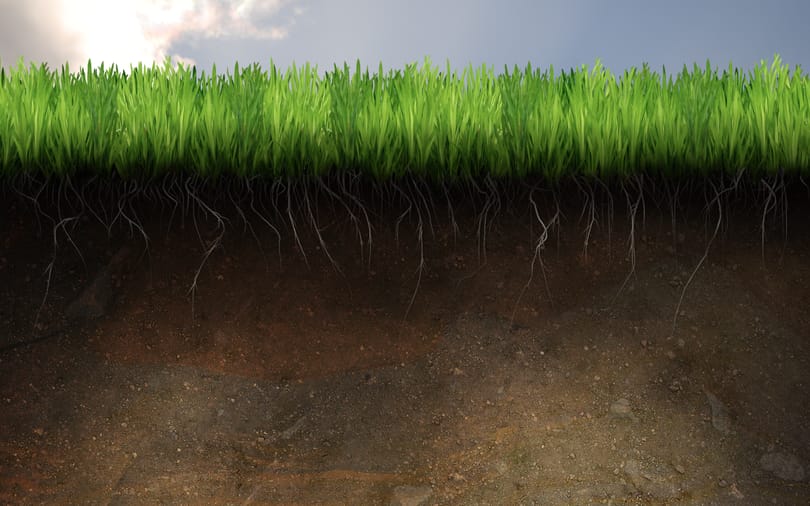 Látványos háttérkép letöltés: Soil and Grass
