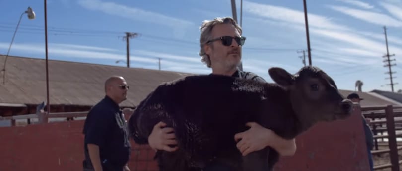 Joaquin Phoenix az állattenyésztés ellen harcol új dokumentumfilmjével