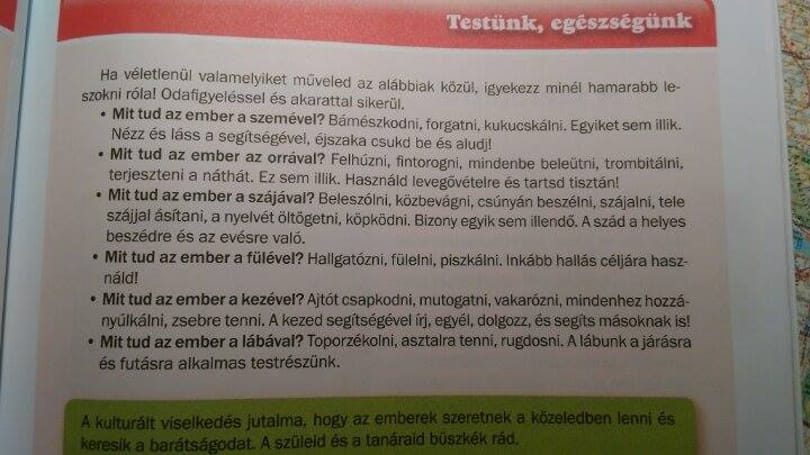 Ceglédi: A mindent rosszul csináló gyerekekről