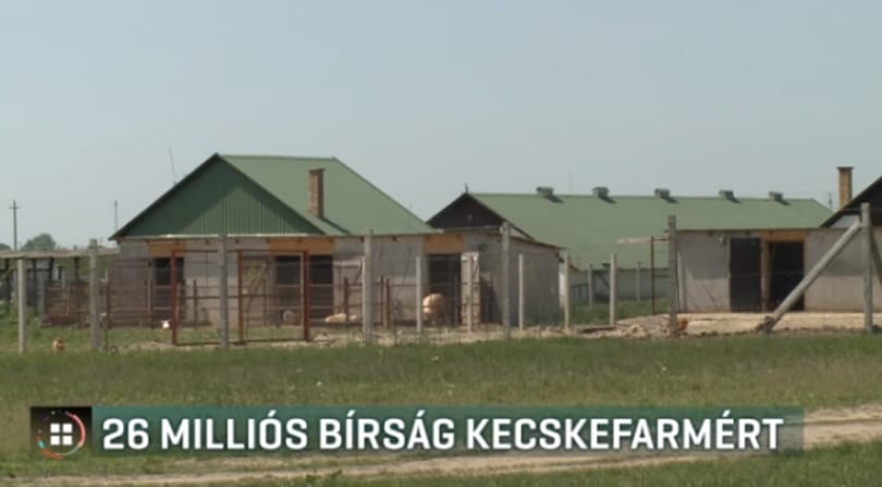 El kellett bontani az engedély nélkül épített önkormányzati kecskefarm egy részét Pocsajon
