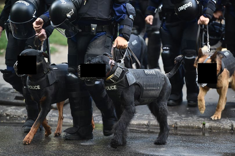 Visszautasítja a rendőrség a Pride szervezőinek vádjait