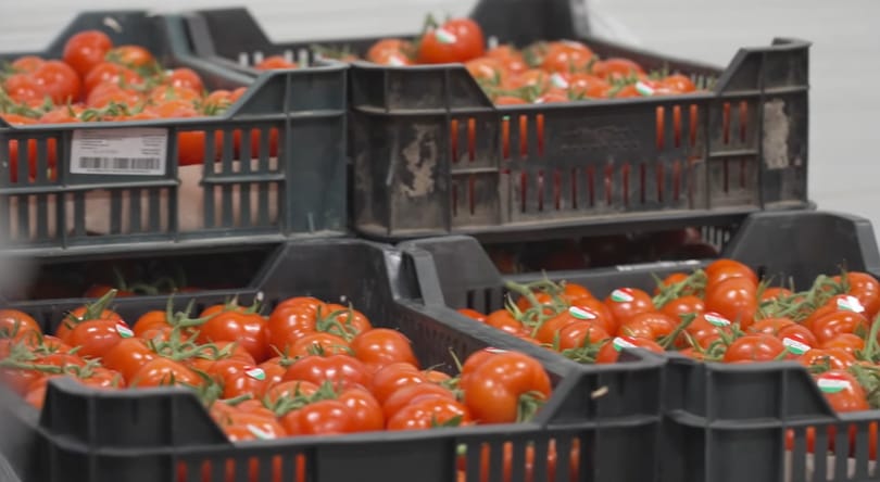 Paradicsommal dobálják valakik az embereket Délkelet-Angliában
