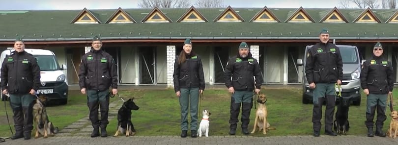Több száz NAV-os szavalt Himnuszt a magyar kultúra napján – videó