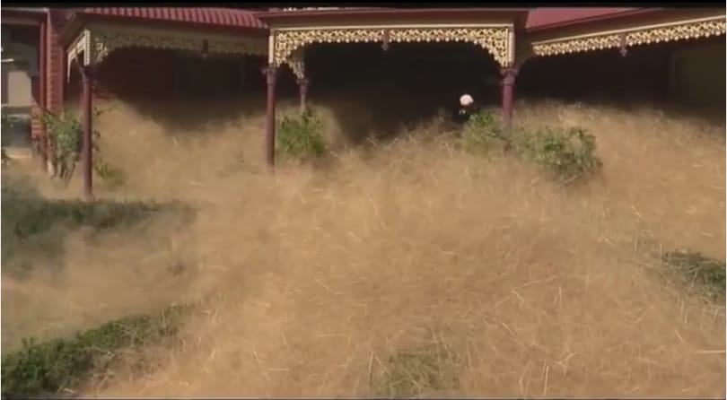 „Hajas pánikot” hozott a szél egy ausztrál városra – videó