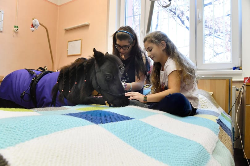 Sokan elfeledkezhetnek az 1 százalék felajánlásáról, ha a NAV tölti ki az adóbevallásukat