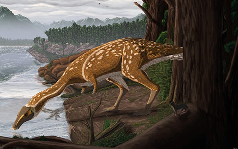 Fogatlan dinoszaurusz maradványaira bukkantak