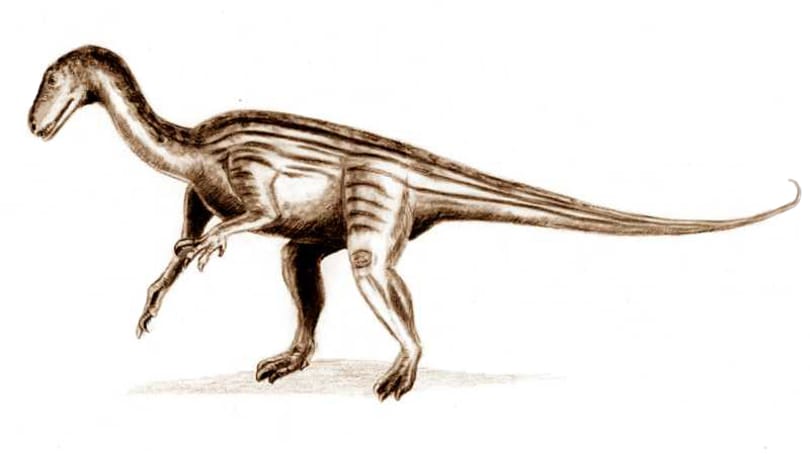 205 millió évvel ezelőtt élt dinoszaurusz agyát rekonstruálták a tudósok