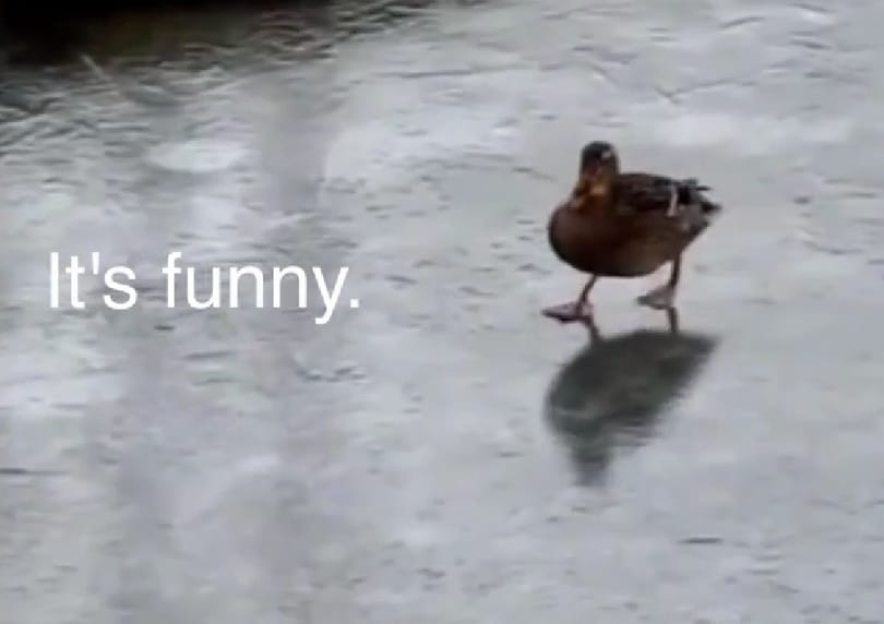 Így kell mókásan emlékeztetni a téli gumi használatára - videó