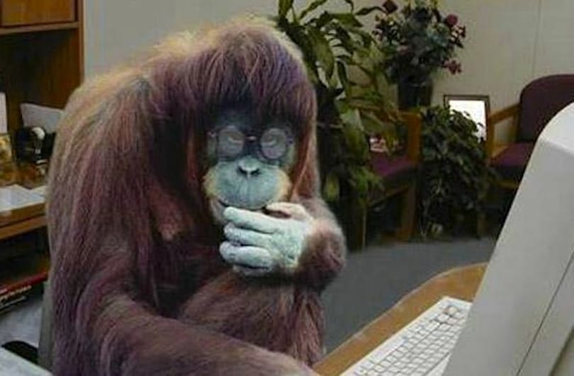Bízza a ContactMonkey-ra a majommunkát!