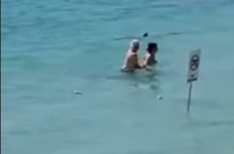 Megtörtént a rémálom, cápa tévedt a strandolók közé Mallorcán – videó