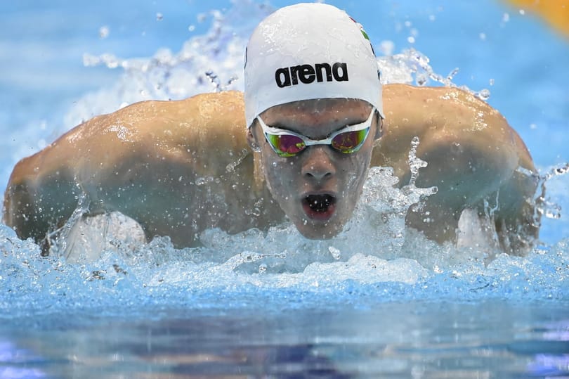Vizes Eb: arany, bronz és junior világcsúcs a szerdai magyar termés