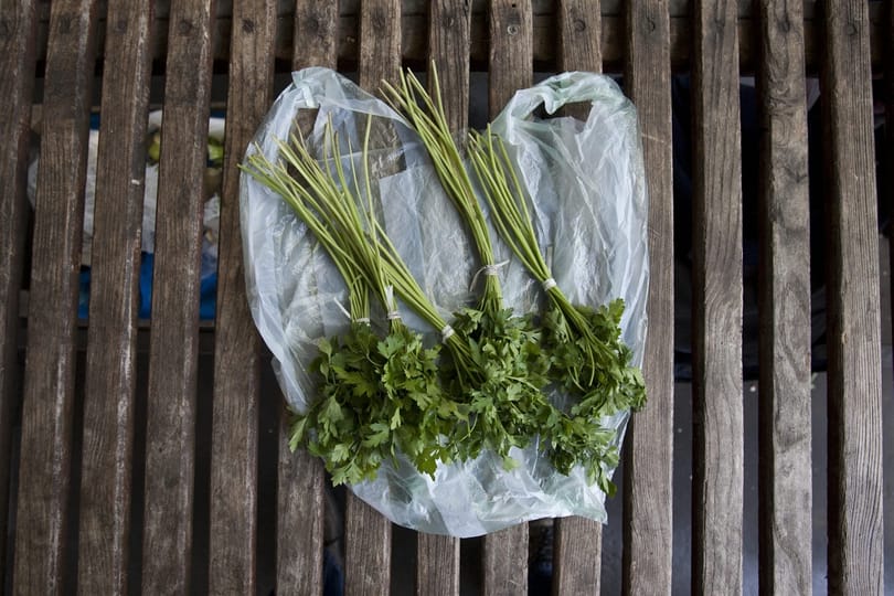 500 forintos órabérért 60 kilométert utaztak, petrezselyem égette őket