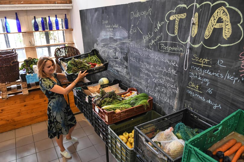 A kormány leírta a kistermelőket, közösségi gazdálkodással talán túlélhetnek