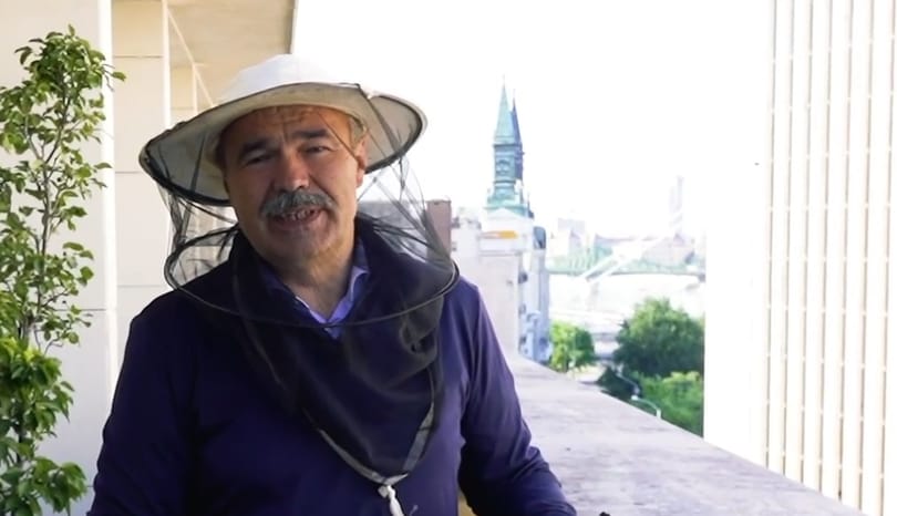 Nagy István jelenti, méhek vannak az Agrárminisztérium erkélyén