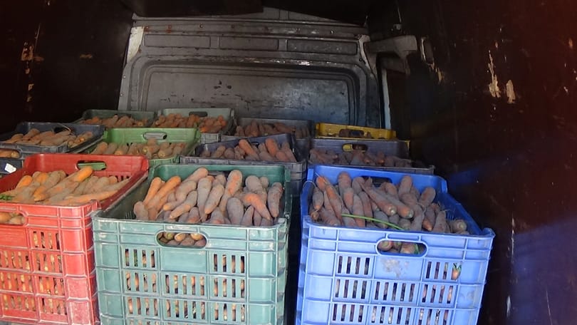 7 tonna bizonytalan eredetű zöldséget talált a NAV egy román kisteherautóban