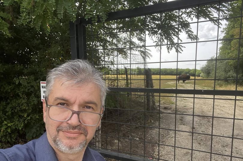 Zebrával nem, de bölénnyel találkozott Hadházy Hatvanpuszta közelében