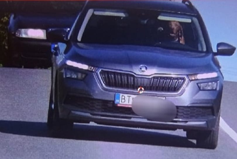 Gyorshajtáson kaptak egy kutyát a szlovák rendőrök
