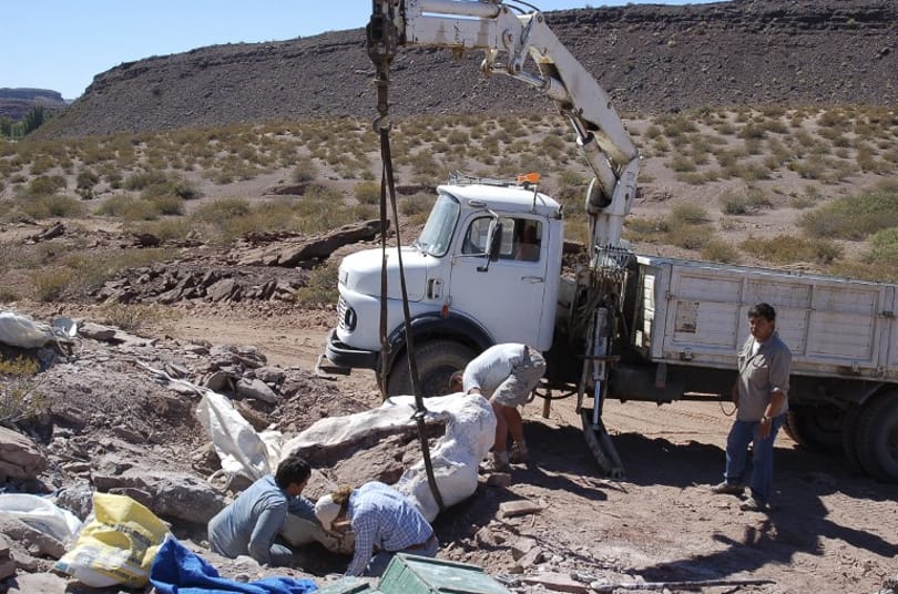 Új dinoszauruszfaj maradványait ásták elő Argentínában