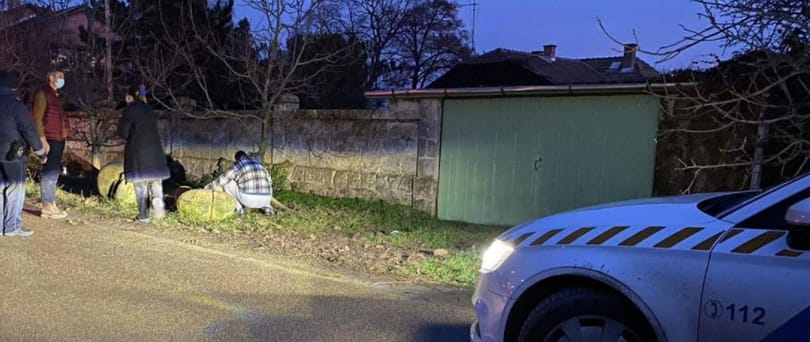 Megsérült egy tinédzser egy tárnoki kutyatámadásban