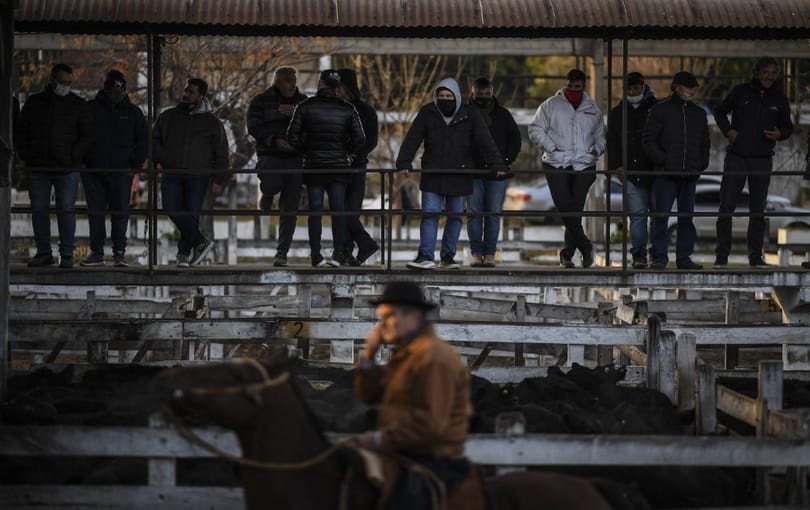 Bezárt Argentína egyik leghíresebb marhapiaca
