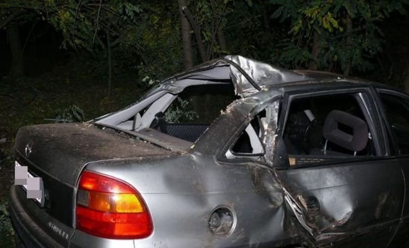 Fát döntött egy Opel Petneházánál - fotók