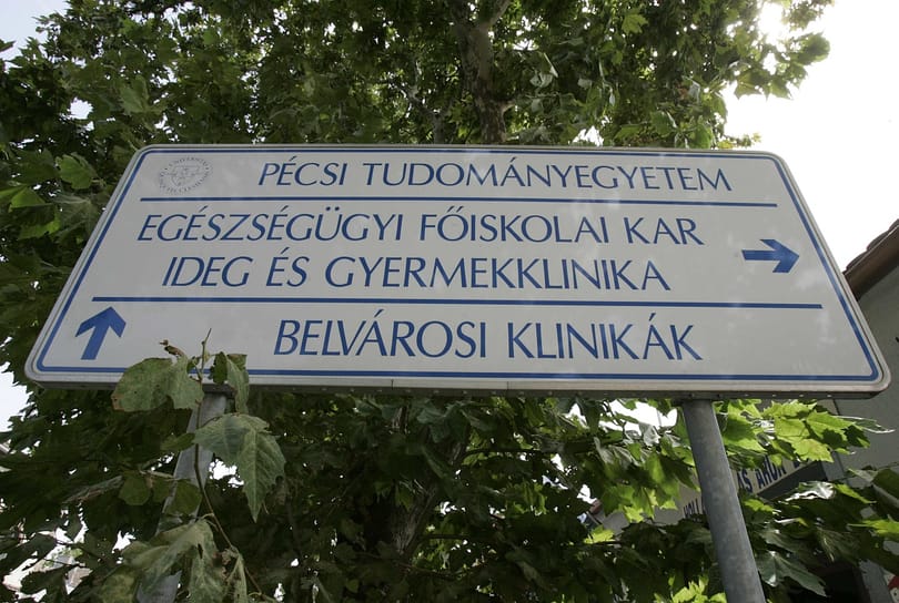 A külföldi diákok nemcsak a partikban, az ingatlanpiacon is dominálnak