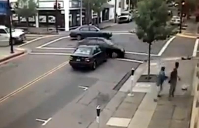 Videó: vakvezető kutya ment meg a gázolástól két embert