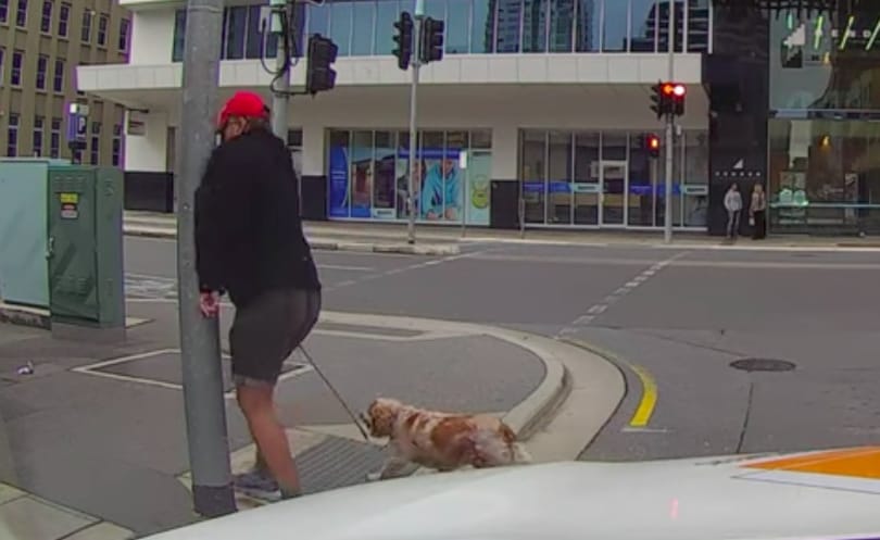 Instant karma: idegesen szövegelt a gyalogos a sofőrnek, aztán jött a lámpaoszlop – videó