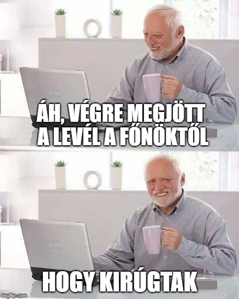 Újabb közismert mémarc bukkan fel egy kormányzati projektben: Hide the Pain Harold