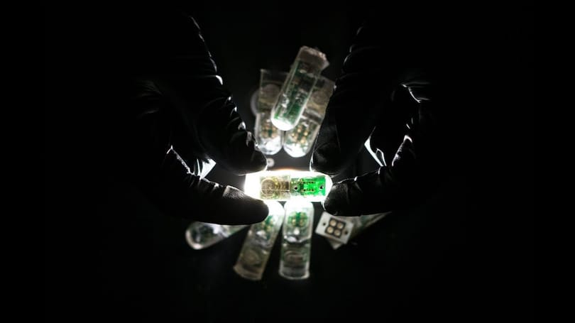 Ön csak lenyel egy 10x33 mm-es kapszulát, ami aztán csipogtatja a telefonját, ha betegséget észlel