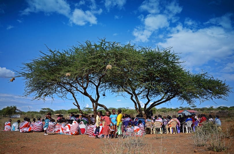 15 milliárd fát akarnak elültetni Kenyában, hétfőn emiatt lesz munkaszüneti nap