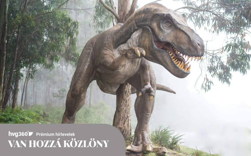 Hogyan védekezzünk a szuverenitásvédelemmel szemben?